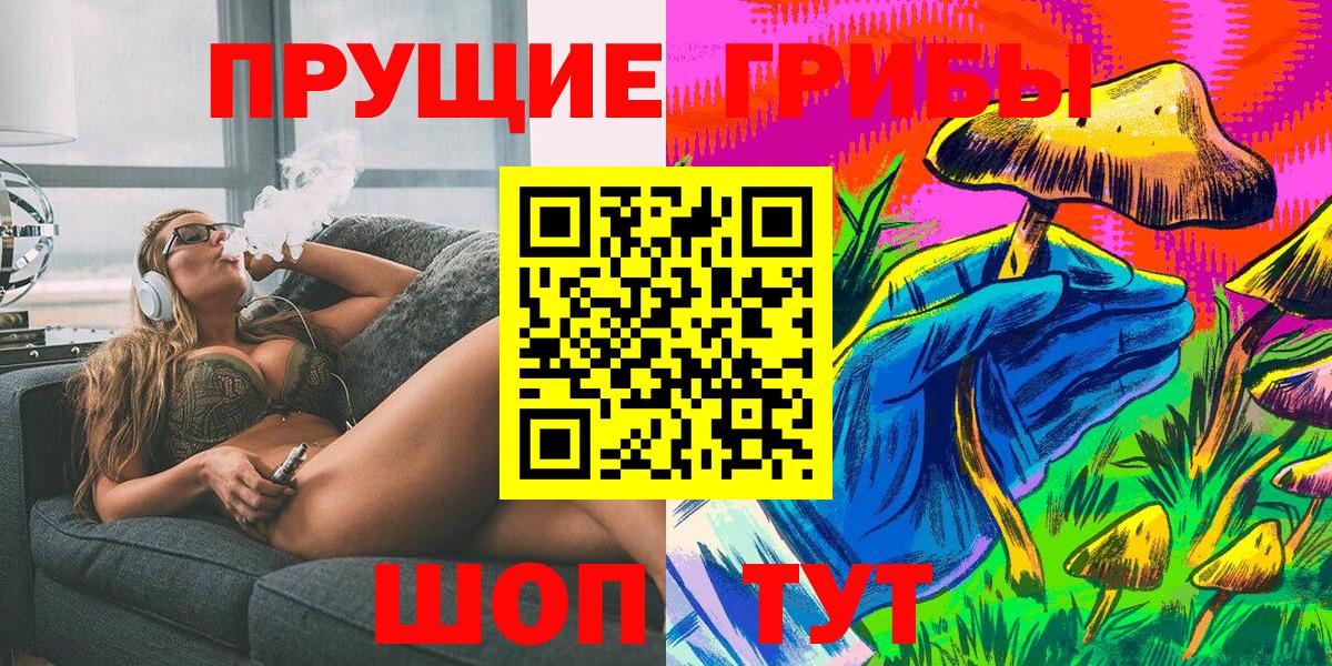 Псилоцибиновые грибы Psilocybe Кызыл