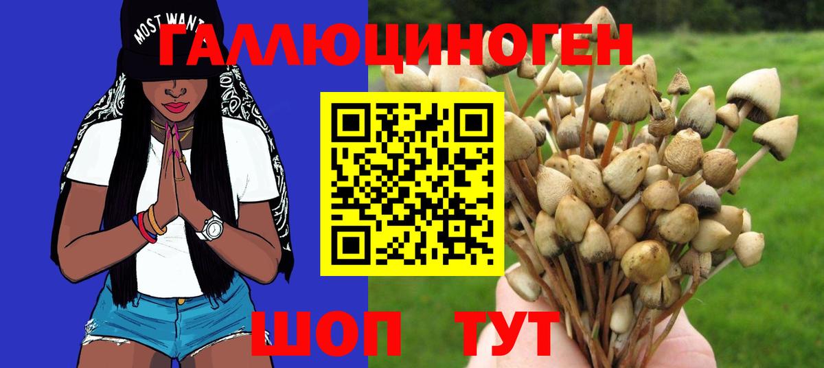 Галлюциногенные грибы мухоморы  Вход с VPN  сколько стоит  Кызыл 